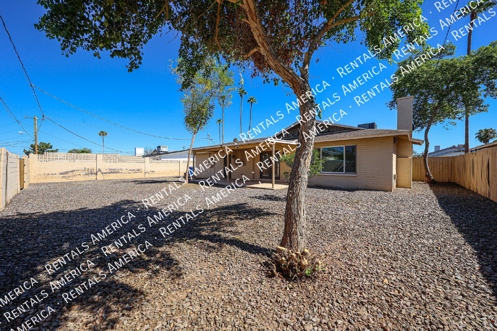 NO HOA,  4/2 bath Home in Tempe property image